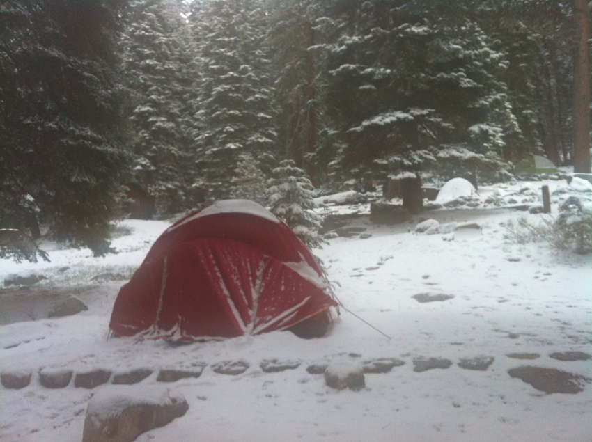 Sequoia NP 040.jpg