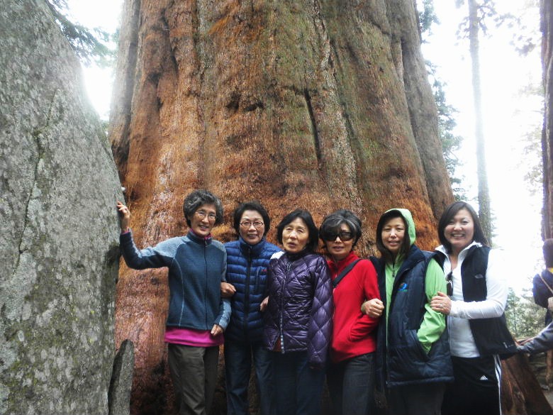 sequoia52612 041.JPG
