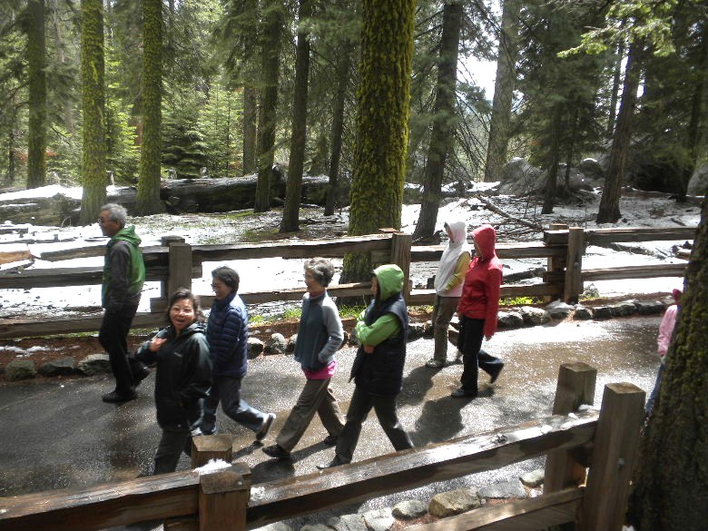 sequoia52612 050.JPG