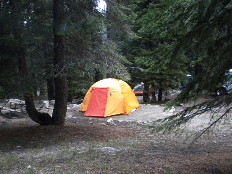 sequoia52612 069.JPG