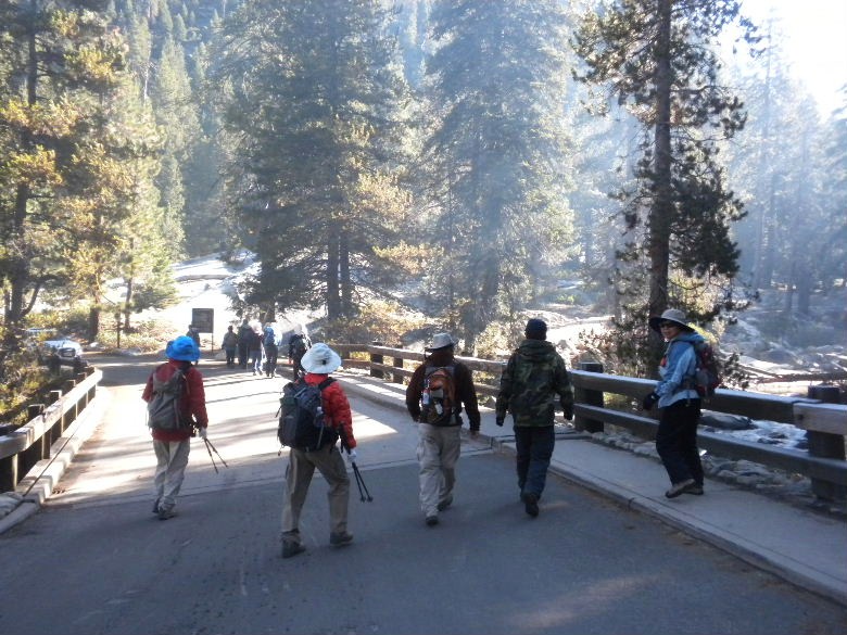 sequoia52612 106.JPG