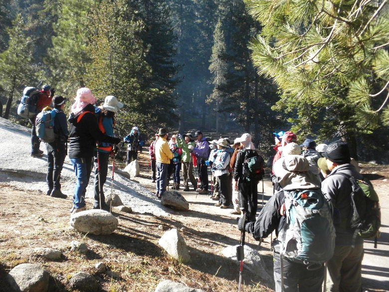 sequoia52612 112.JPG