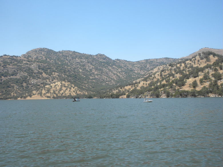 sequoia52612 194.JPG