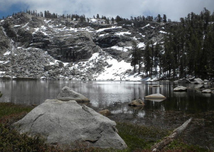 sequoia52612 137.JPG