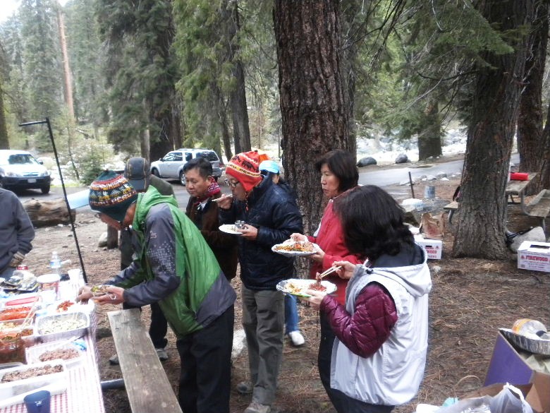 sequoia52612 062.JPG