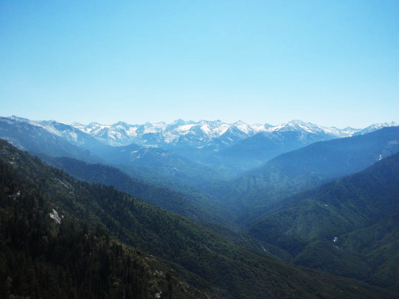 sequoia52612 182.JPG