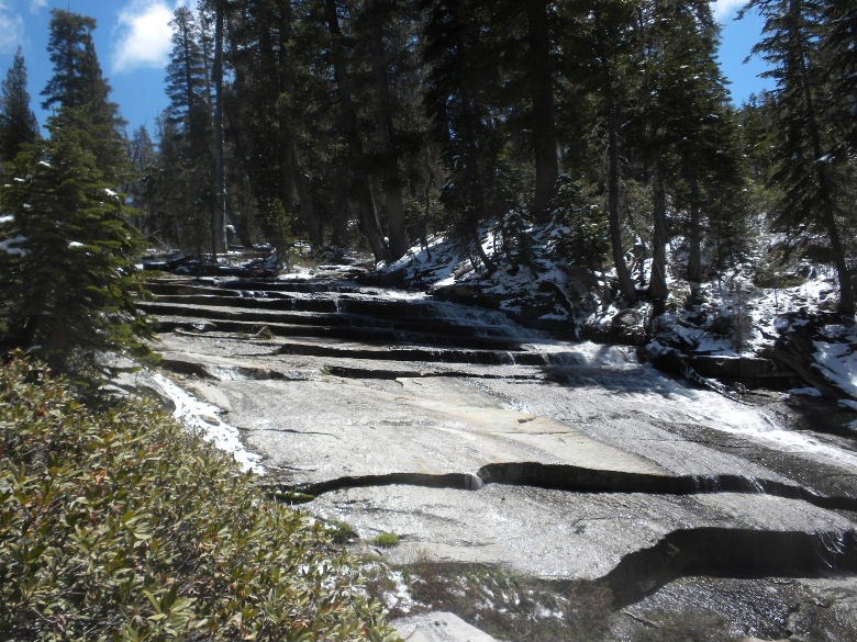 sequoia52612 132.JPG