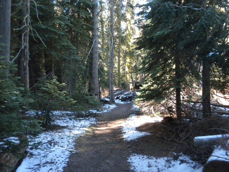 sequoia52612 115.JPG