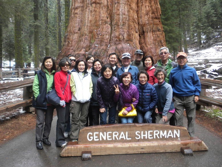 sequoia52612 046.JPG