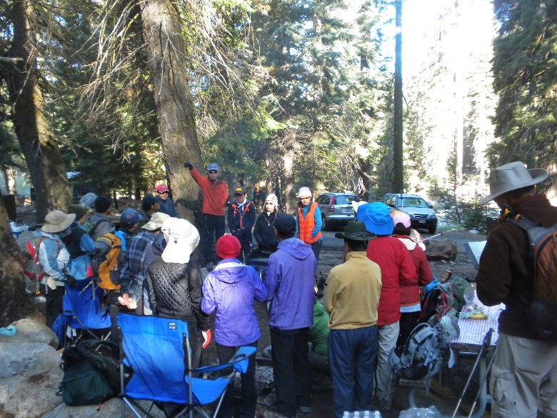 sequoia52612 103.JPG