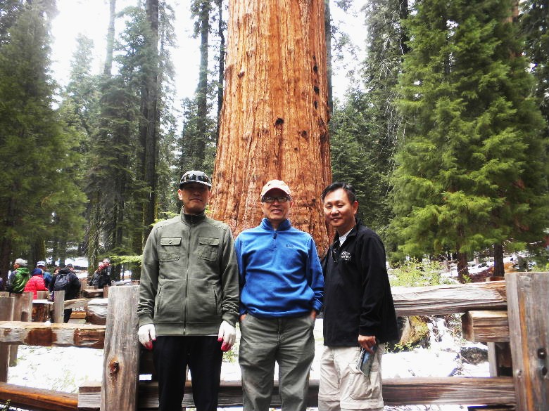 sequoia52612 045.JPG