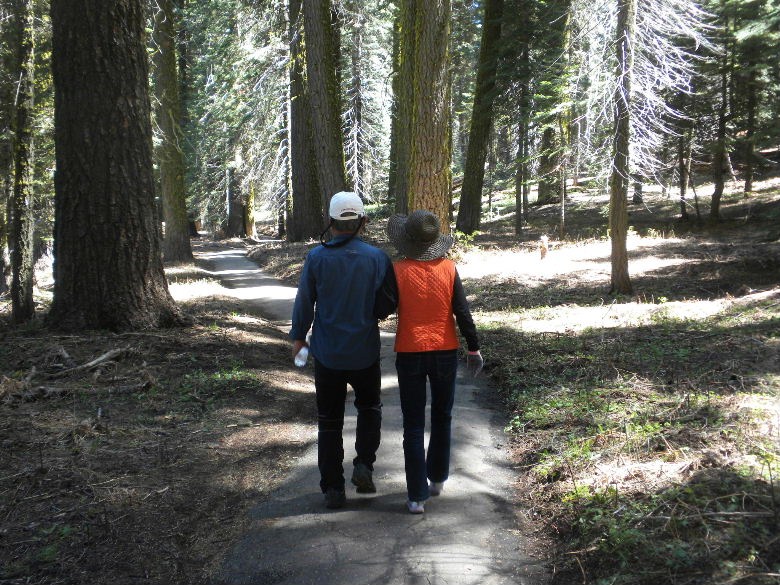sequoia52612 191.JPG