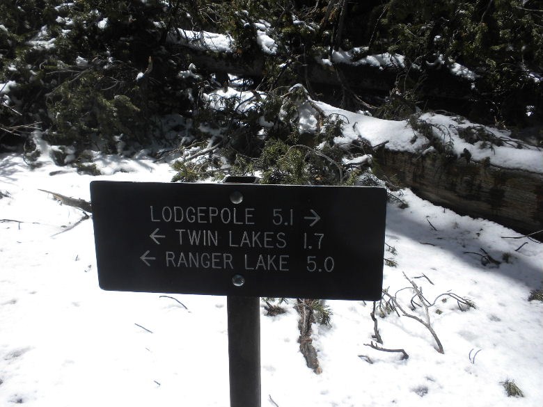 sequoia52612 129.JPG