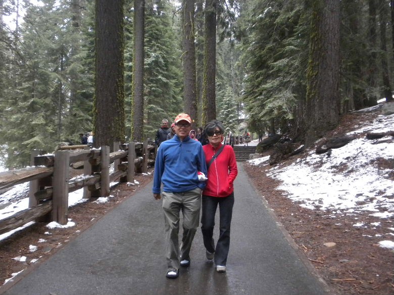 sequoia52612 033.JPG