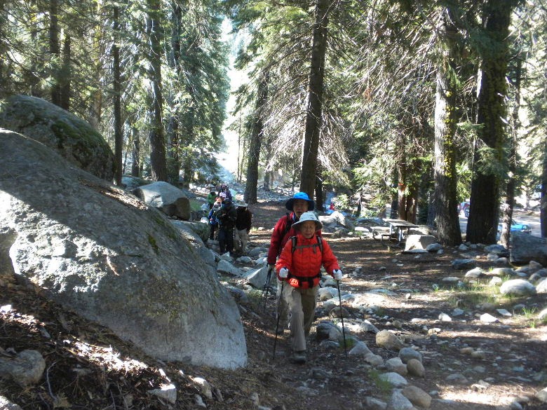 sequoia52612 113.JPG