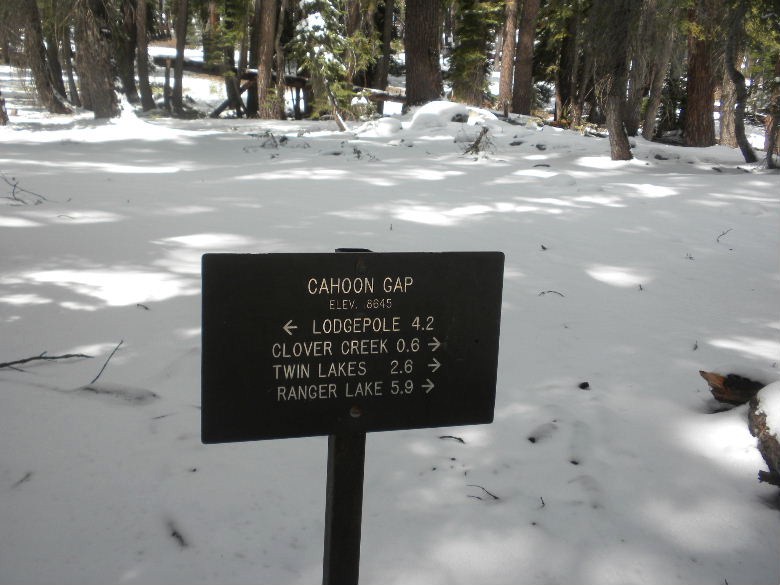 sequoia52612 126.JPG