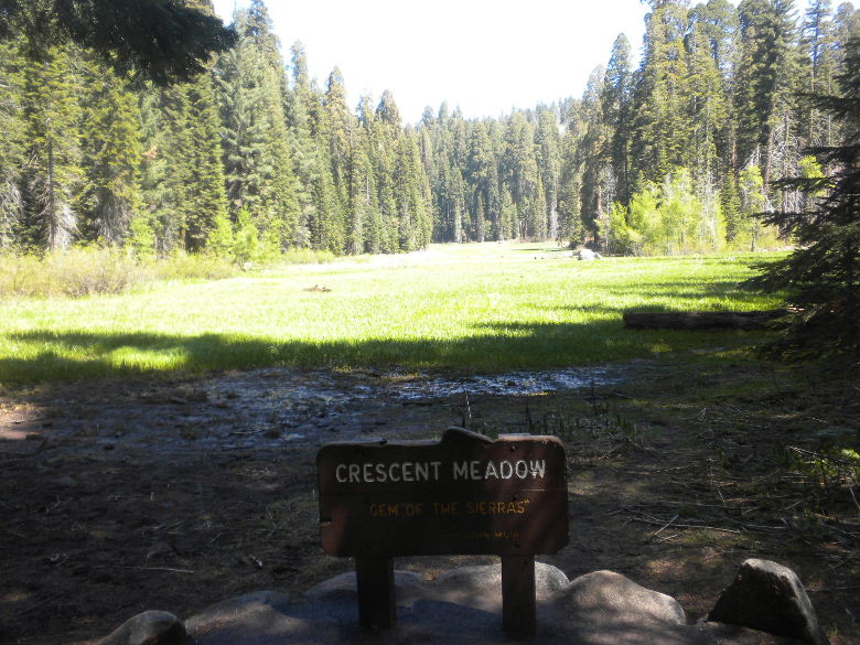 sequoia52612 190.JPG