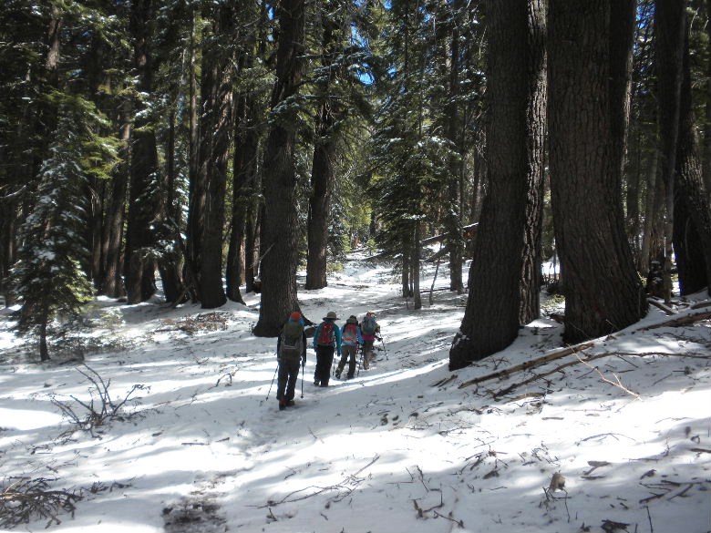 sequoia52612 123.JPG