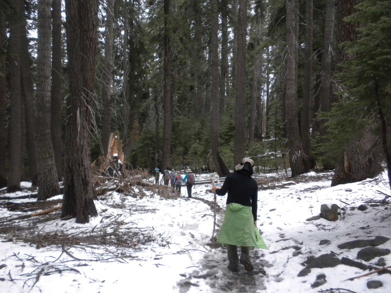 sequoia52612 145.JPG