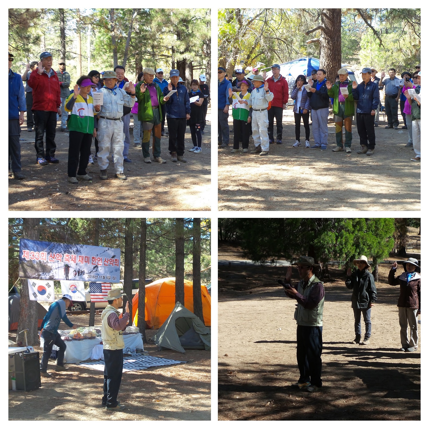 20161106_113102-COLLAGE.jpg
