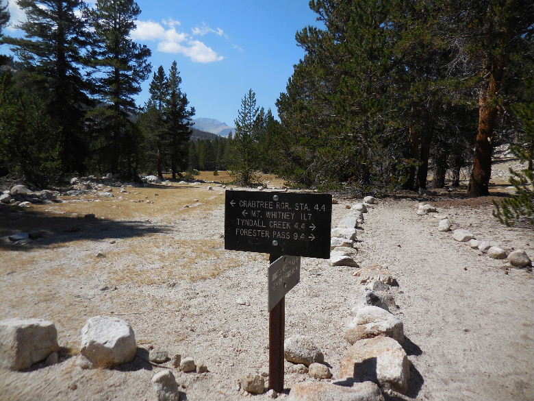 DSCN2600.JPG