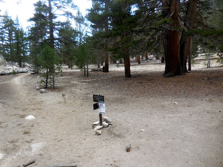 DSCN2613.JPG