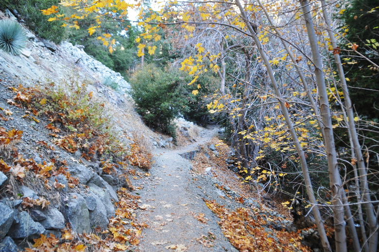 2012산제 752.JPG