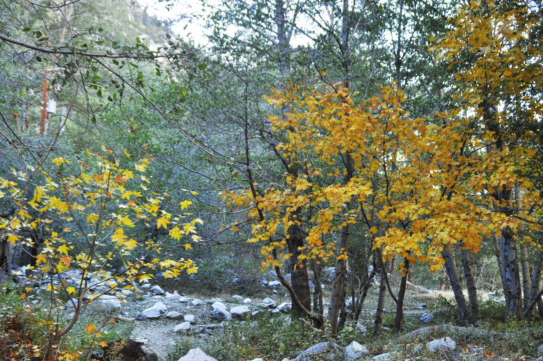 2012산제 769.JPG