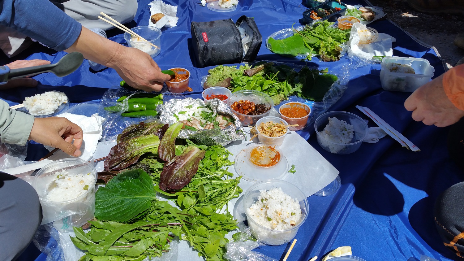 20160904_123508.jpg