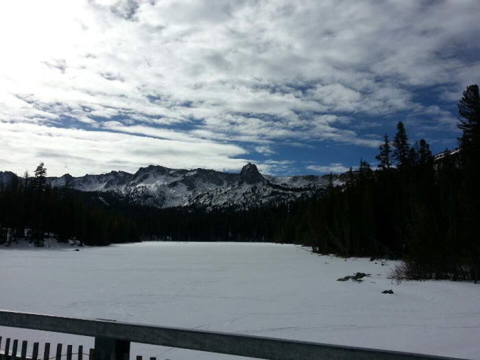 Mammoth 014.jpg