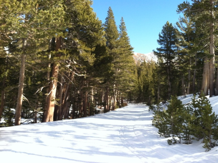 Mammoth 035.jpg