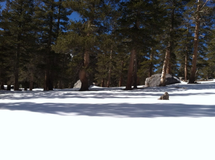 Mammoth 024.jpg
