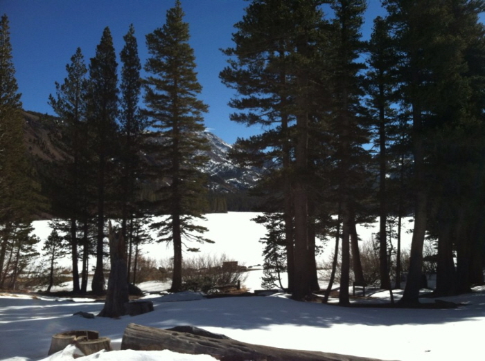 Mammoth 023.jpg