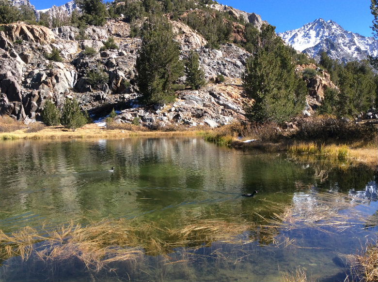 bishop102015 103.jpg