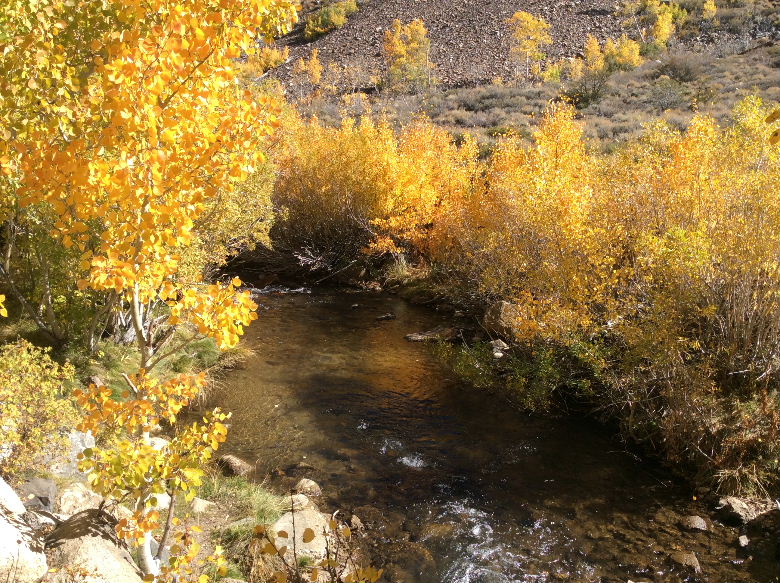 bishop102015 010.jpg