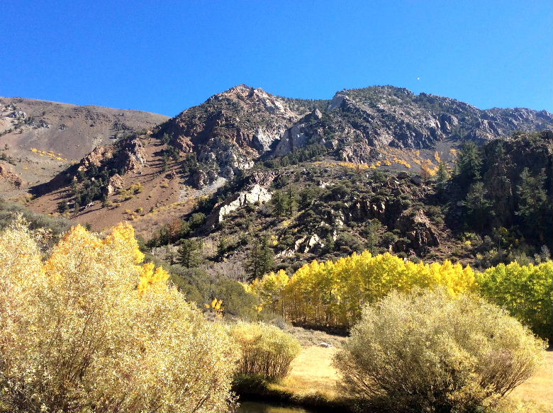 bishop102015 020.jpg