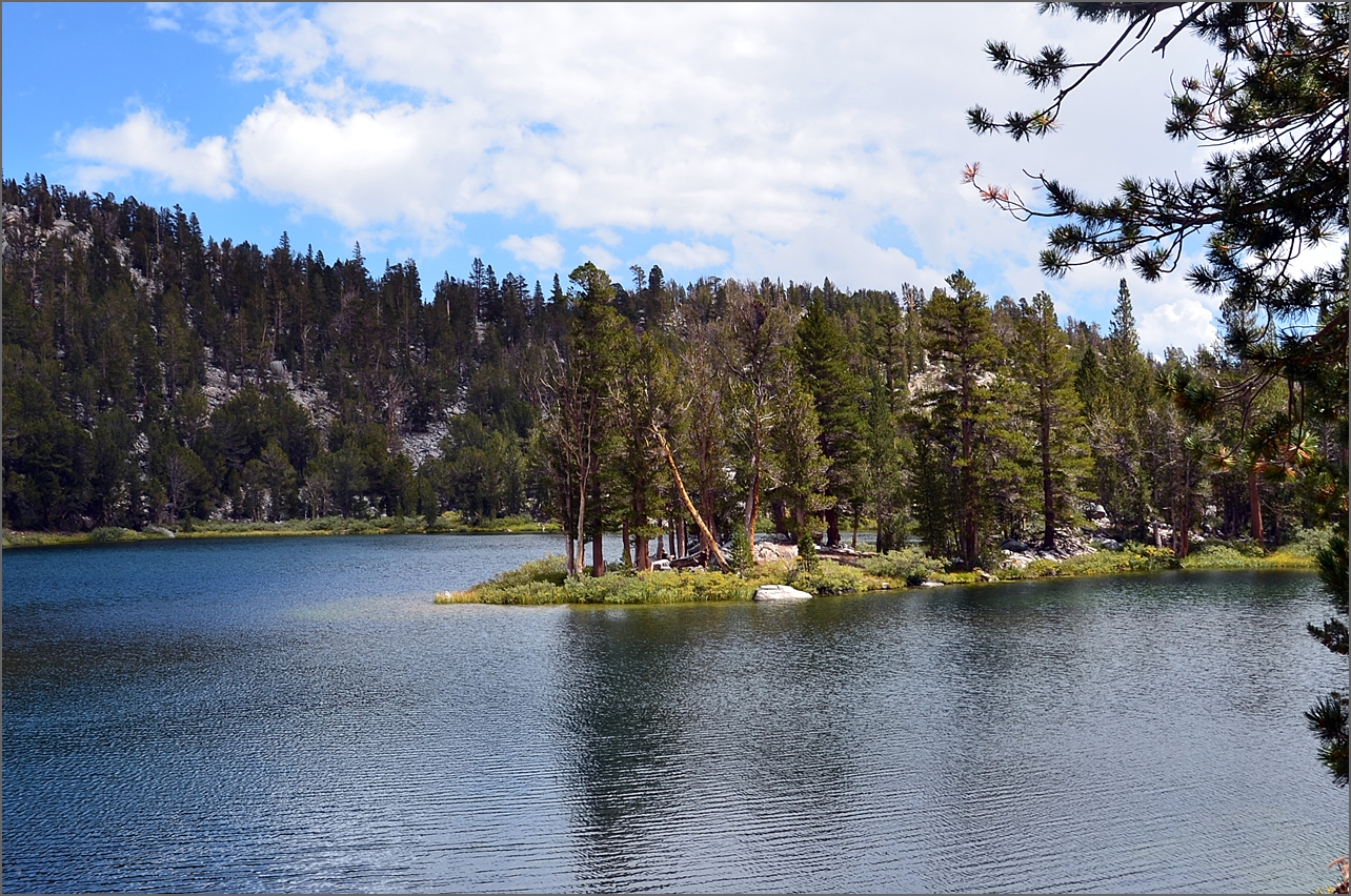 DSC_2649.JPG