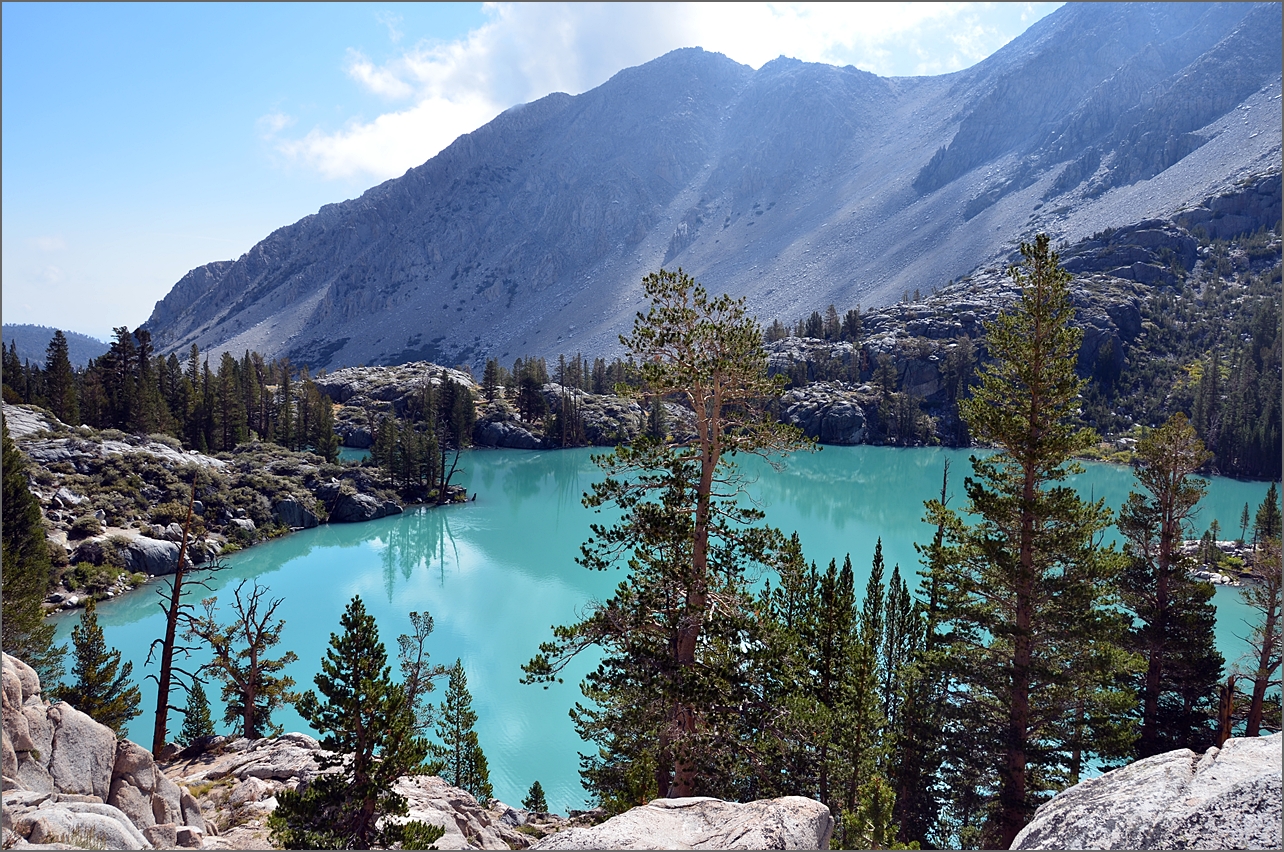 DSC_2450.JPG