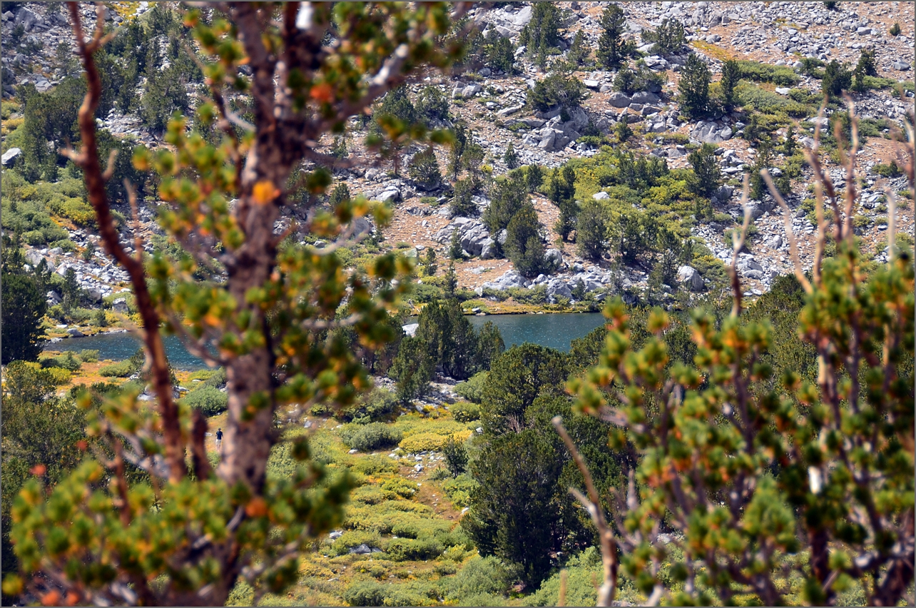 DSC_2695.JPG