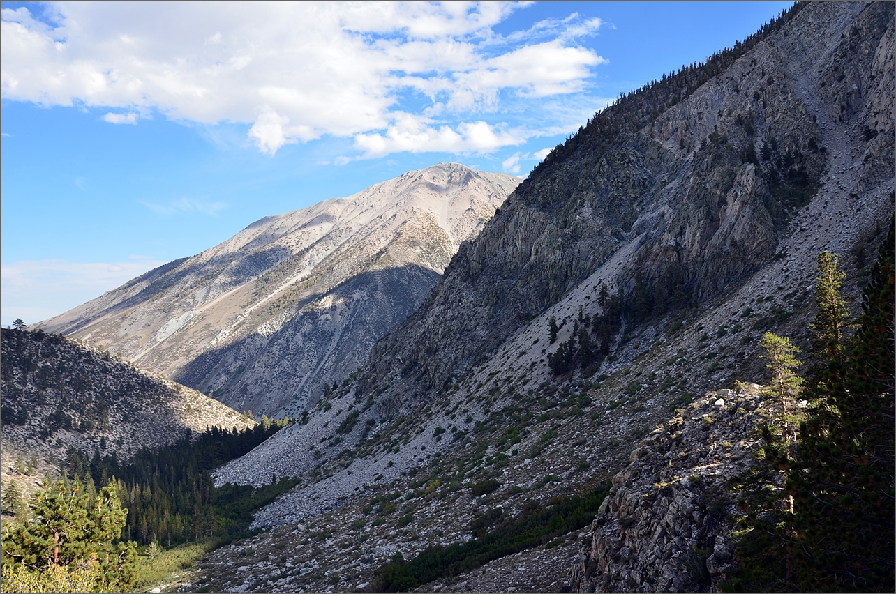 DSC_2796.JPG