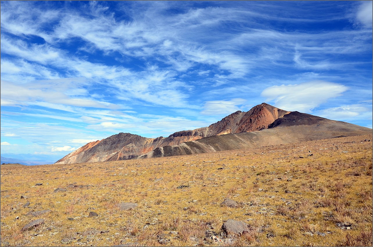 DSC_3008.JPG