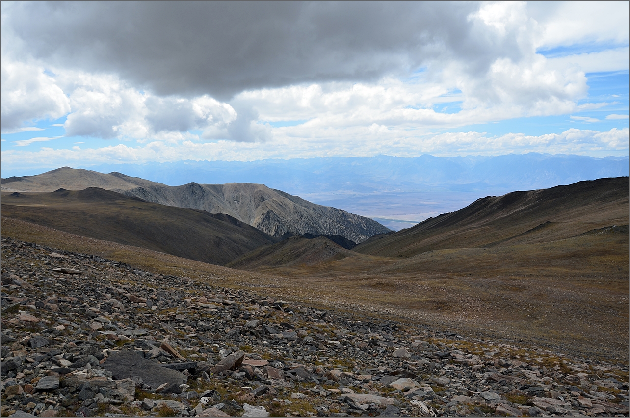 DSC_3187.JPG