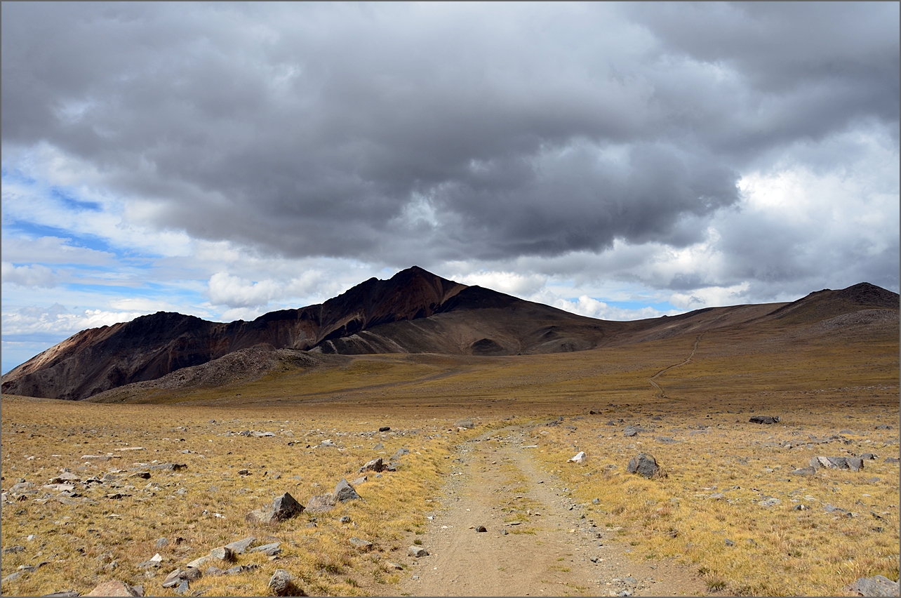 DSC_3206.JPG