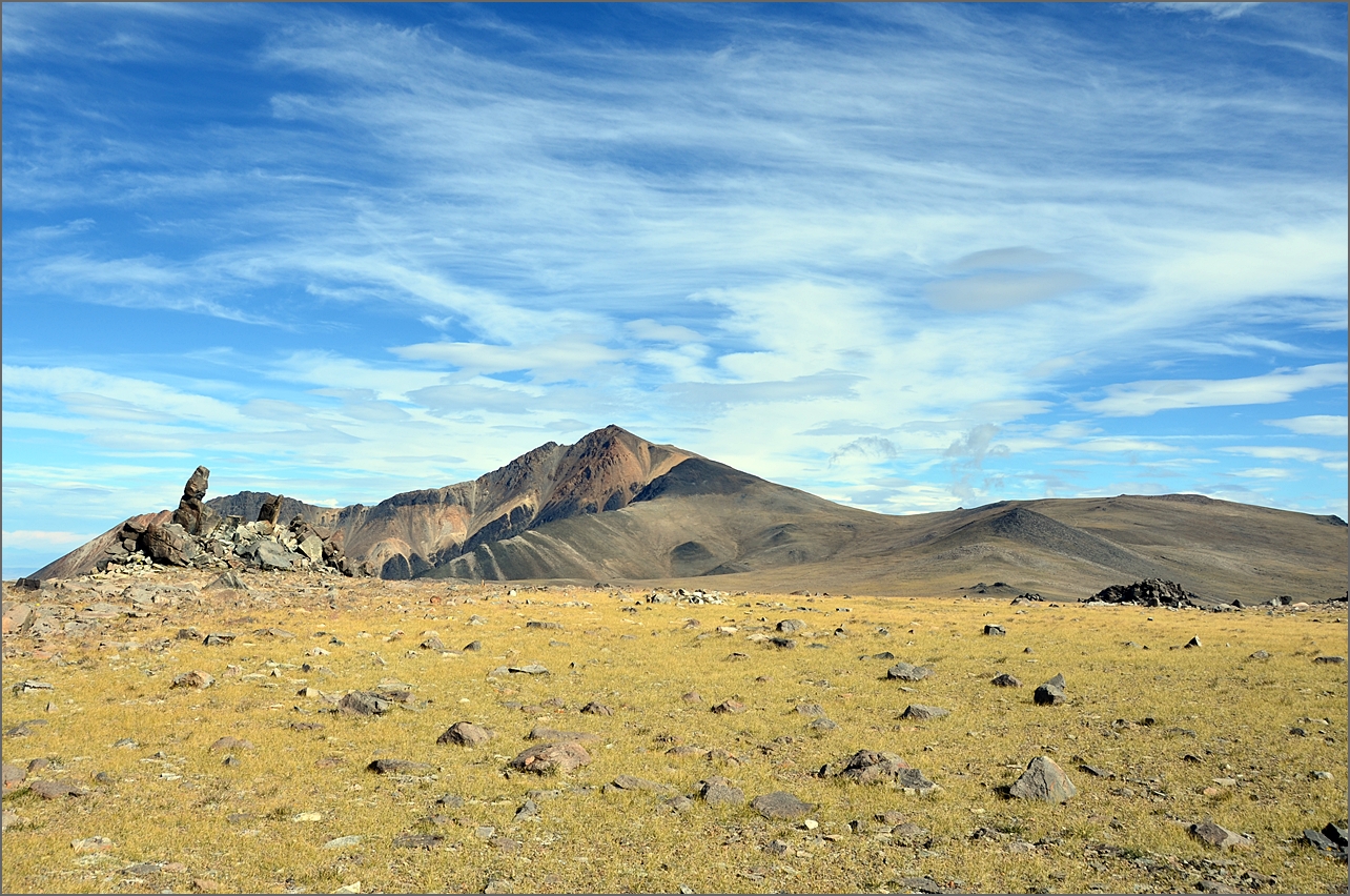 DSC_2961.JPG