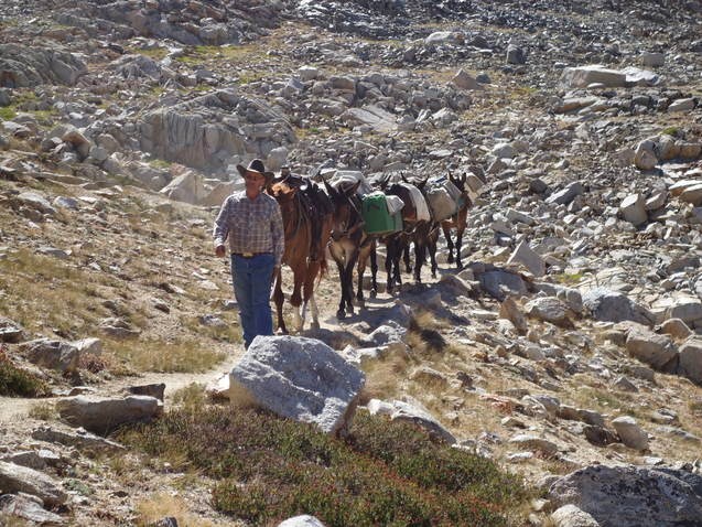 jmt33.jpg