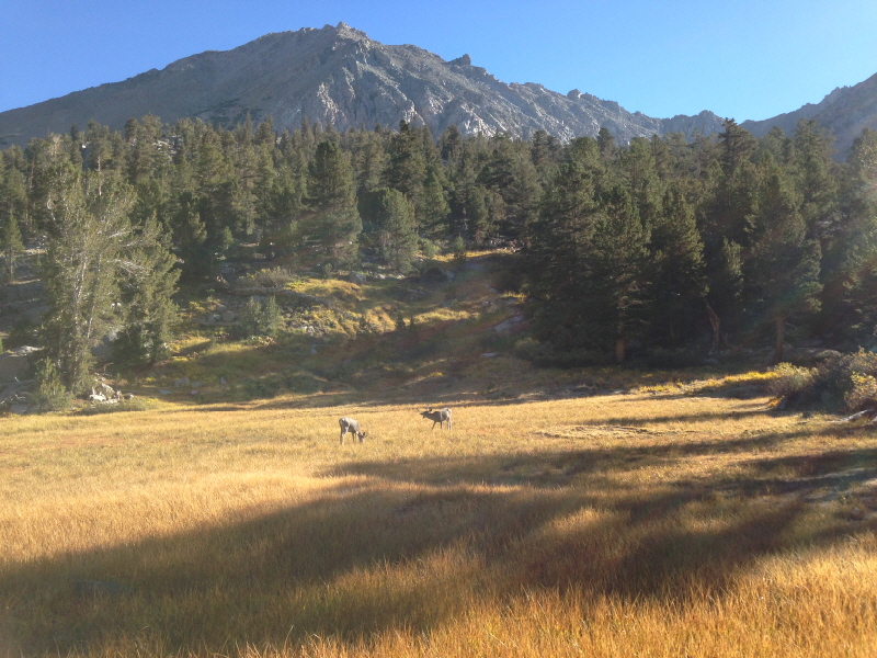 Rae lakes Loop 043.jpg