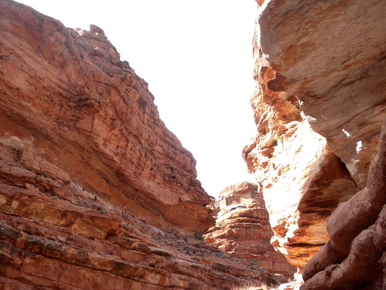 havasu513 058.JPG
