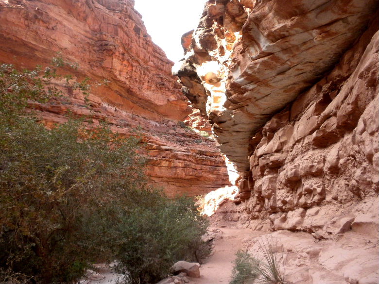 havasu513 057.JPG