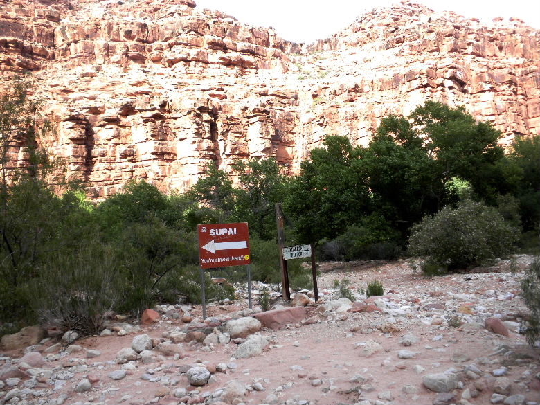 havasu513 087.JPG