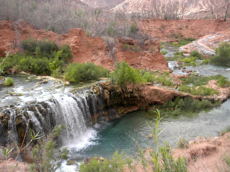 havasu513 113.JPG